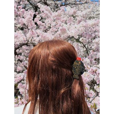 Mini Soy Sauce Hair Claw