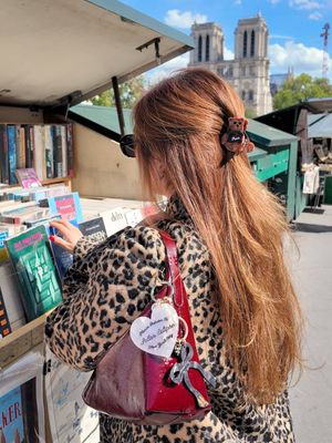 Mini Paris Teddy Bear Hair Claw