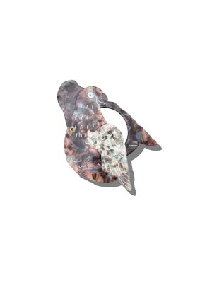 Pigeon Compact Mirror