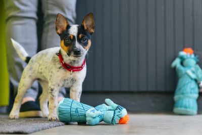 PLAY NYC Lady Liberty