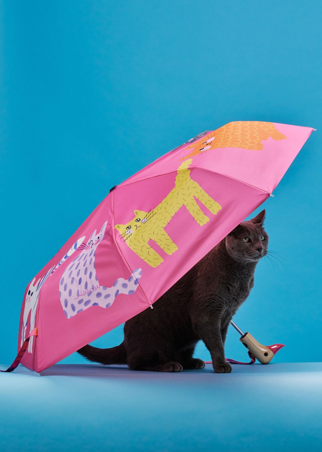 Arty Cats Fuchsia Eco-Friendly Compact Umbrella