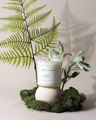 Fern + Moss Jar Candle