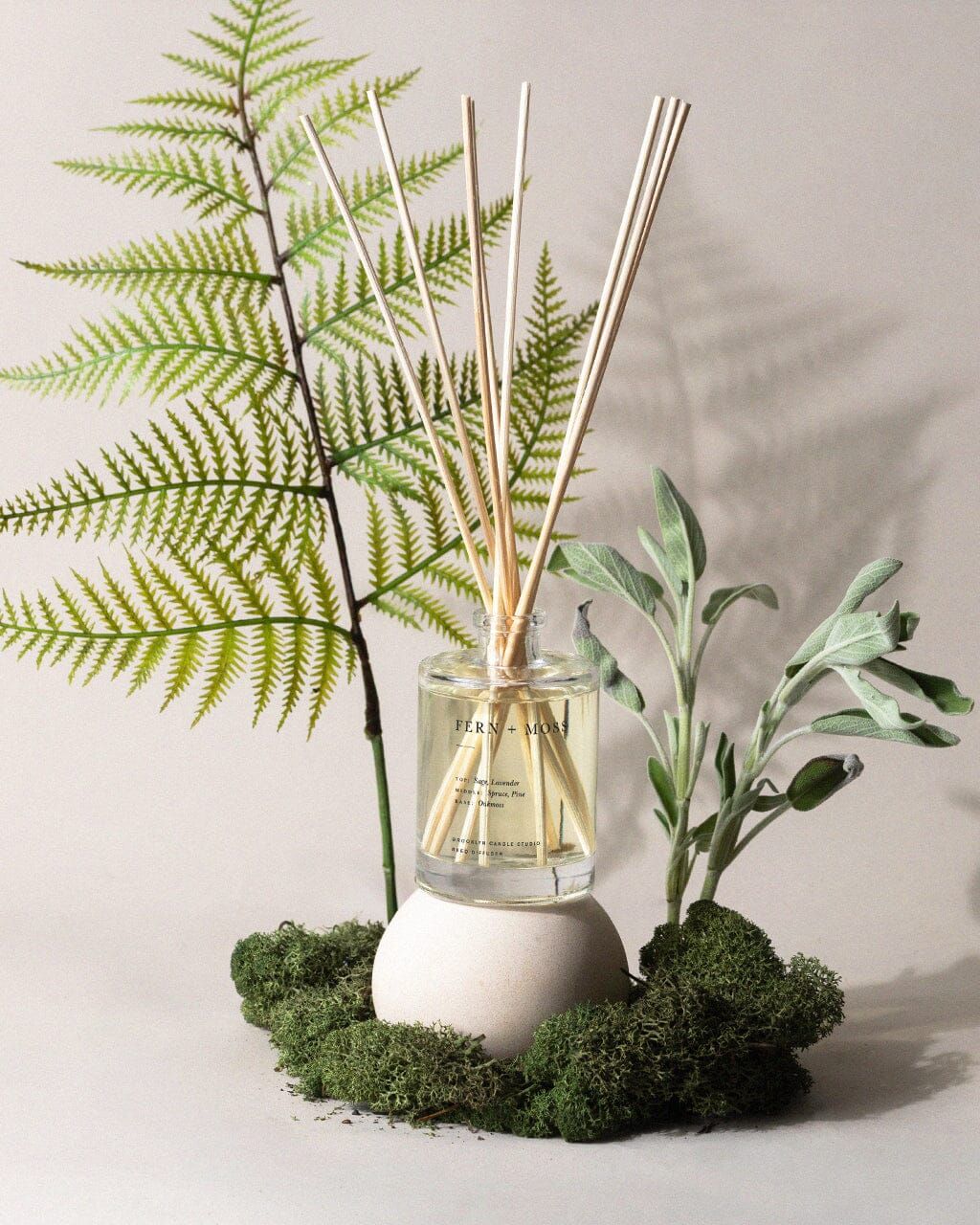 Fern + Moss Reed Diffuser