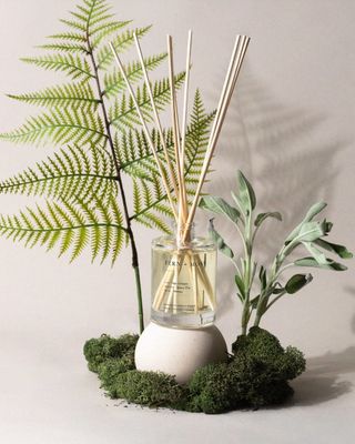 Fern + Moss Reed Diffuser