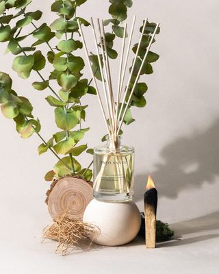 Palo Santo Reed Diffuser