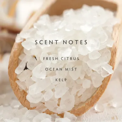 Sea Salt Large Candle