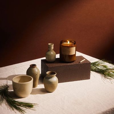 Spruce– Standard Candle