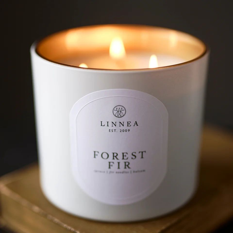 Winter Candle Forest Fir