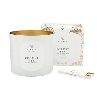 Winter Candle Forest Fir