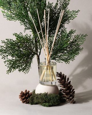 Catskills Reed Diffuser