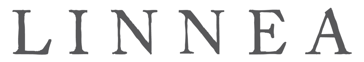 Winter Candle Stardust