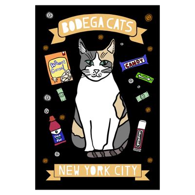 New York City Bodega Cat Postcard - Calico Cat Ny Nyc