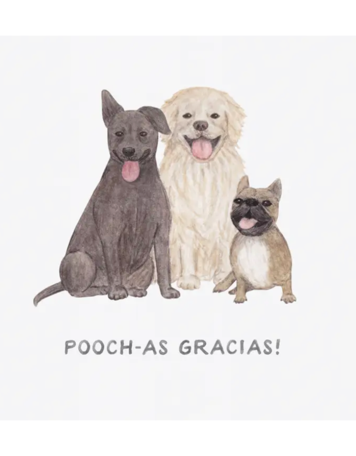 Pooch-As Gracias — Spanish Pun Thank You Card