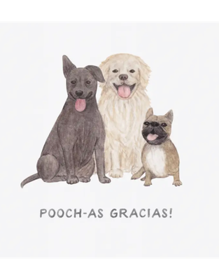 Pooch-As Gracias — Spanish Pun Thank You Card