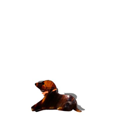 Dachshund Dog Hair Claw