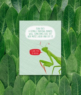 Praying Mantis Fact Love Card