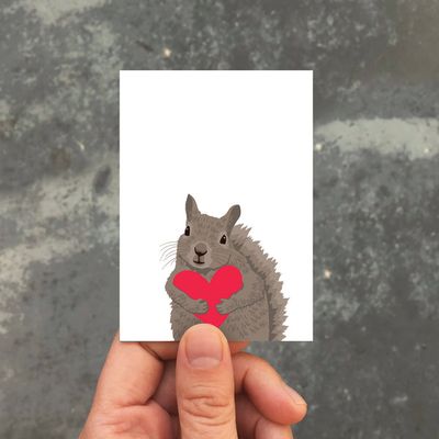 Squirrel Heart Enclosure
