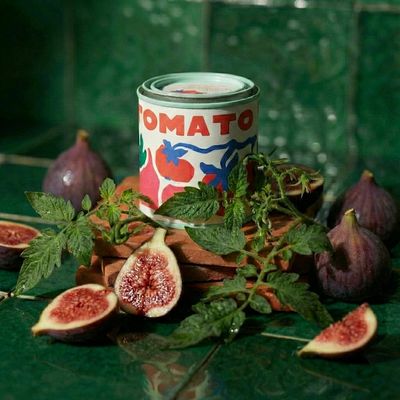 Fig &amp; Tomato Vine Candle 6 oz Tin