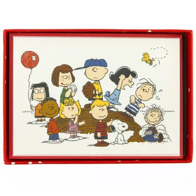 Peanuts® Gang Boxed Notes