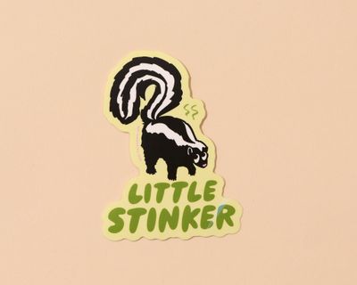 Lil Stinker Skunk