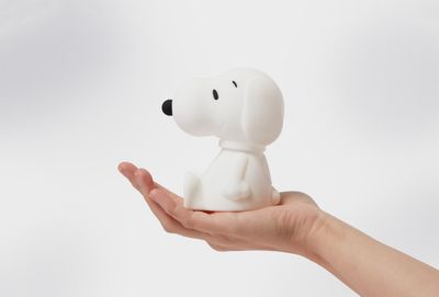 Snoopy Bundle of Light