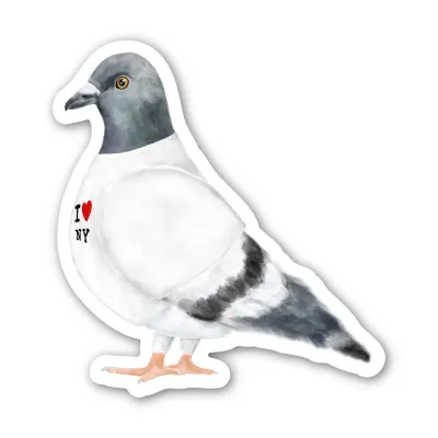 Nyc Pigeon Sticker