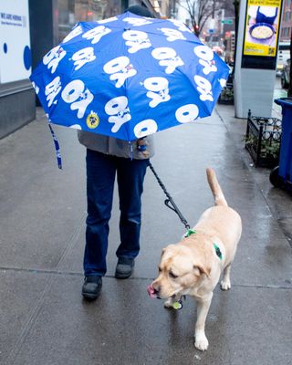 Peanuts Snoopy Limited Edition Yo! Duckhead Umbrella