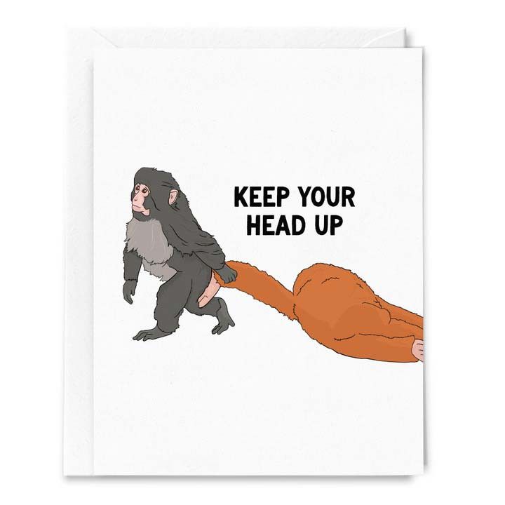 Keep Your Head Up, Punch the Monkey and His Plushie Card