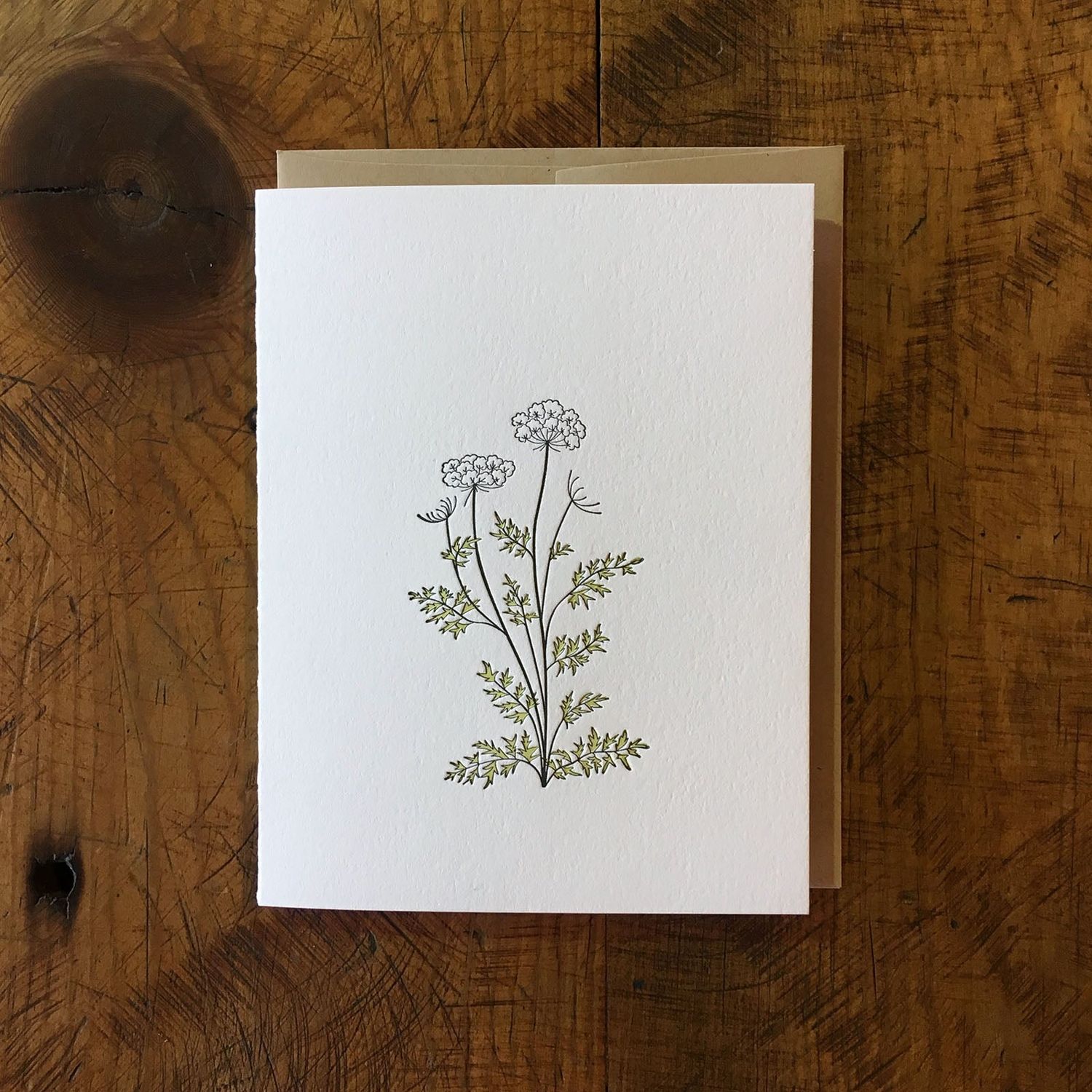 Queen Anne's Lace Wildflower Letterpress Card