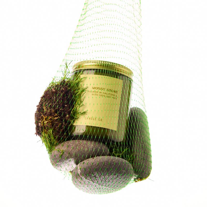 Mossy Stone– Standard Candle
