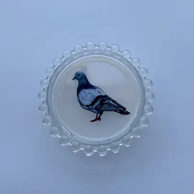Pigeon Trinket Dish