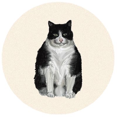 Tuxedo Cat Trinket Dish