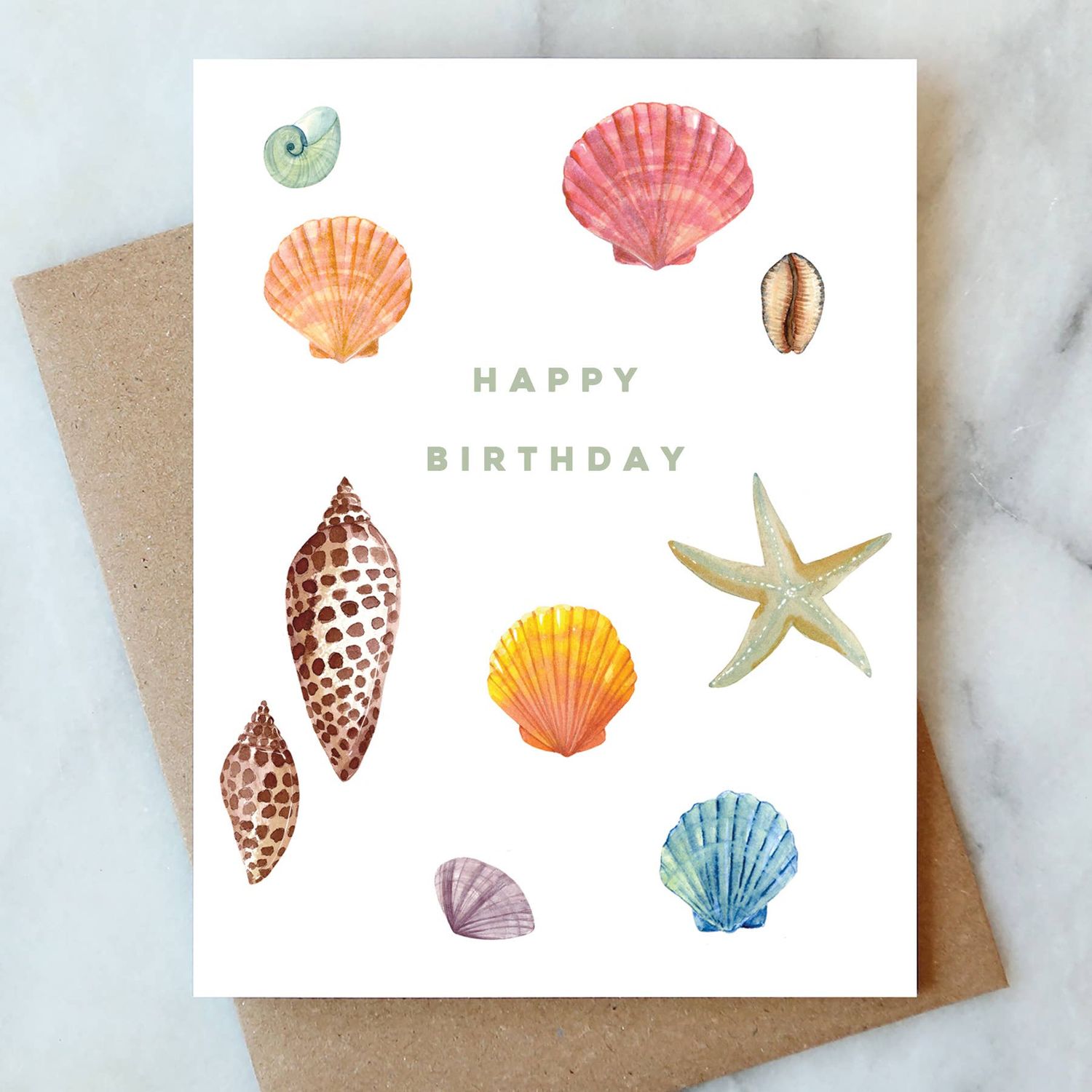 Shell Collector Birthday Greeting Card