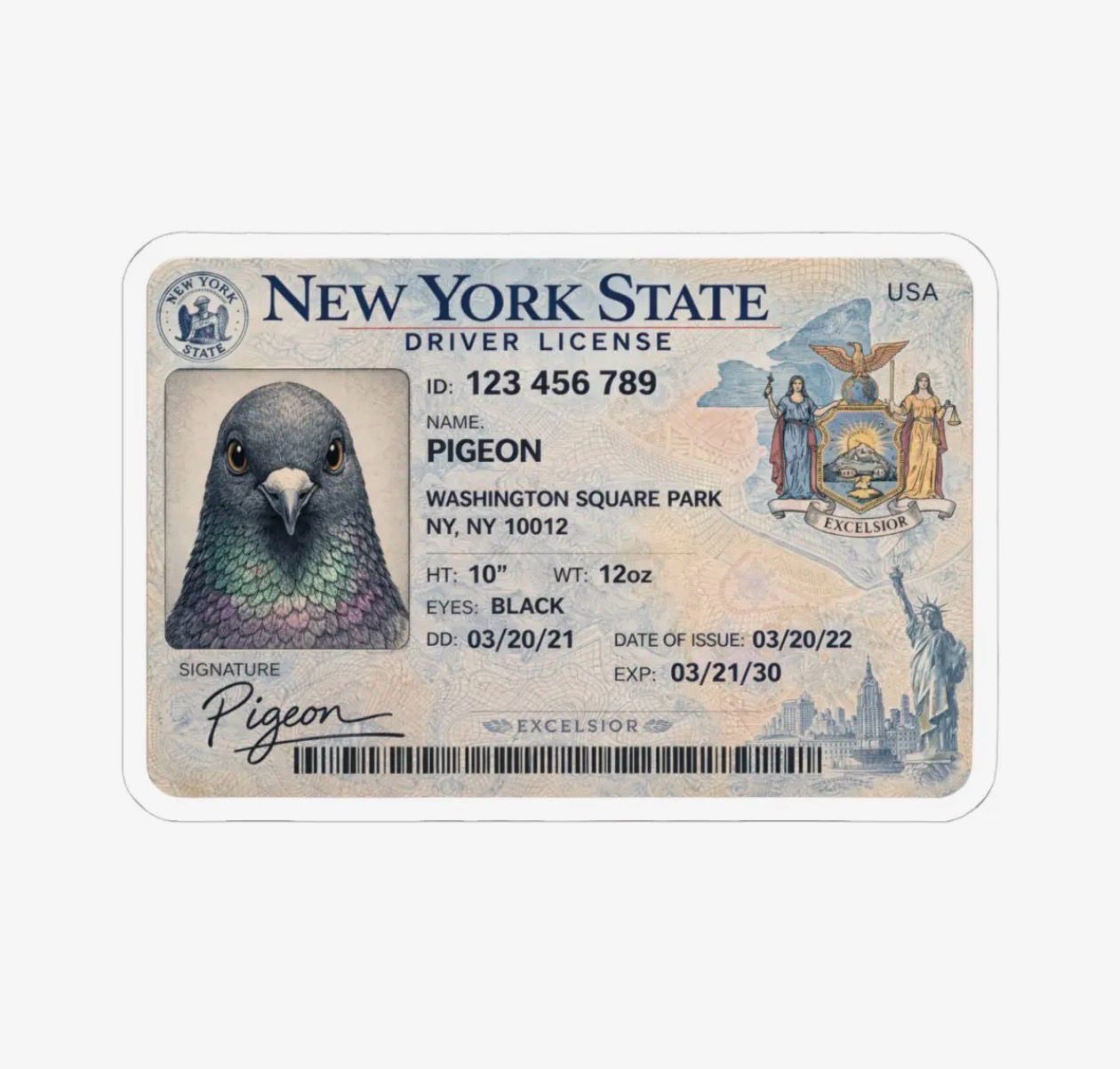 Pigeon's Driver's License Vinyl Sticker