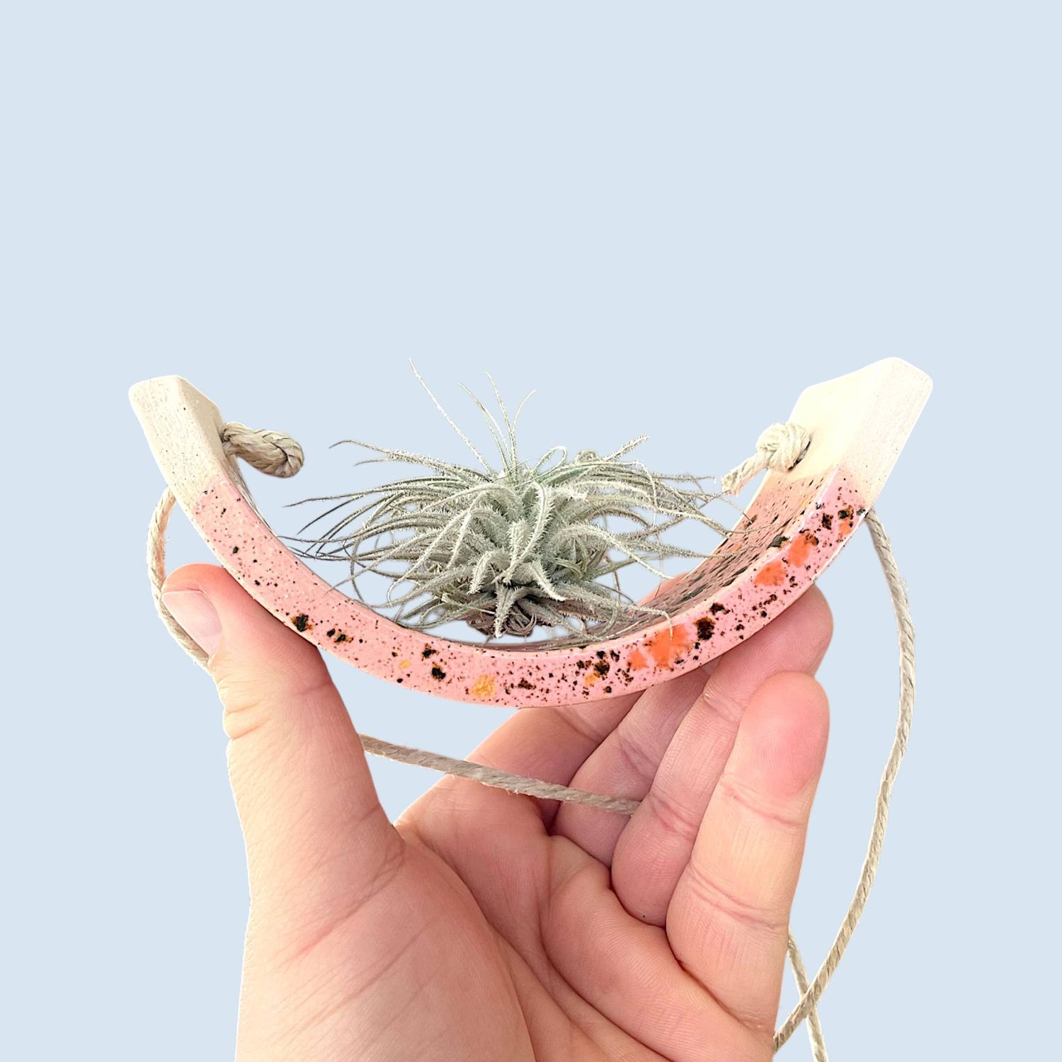 Hanging Air Plant Cradle Pink Amaryllis 
