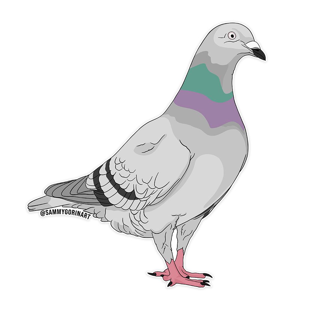 Pigeon Sticker