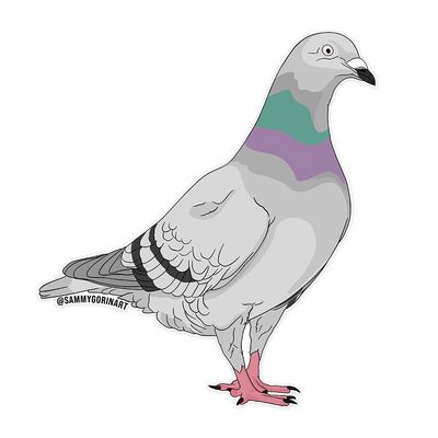 Pigeon Sticker