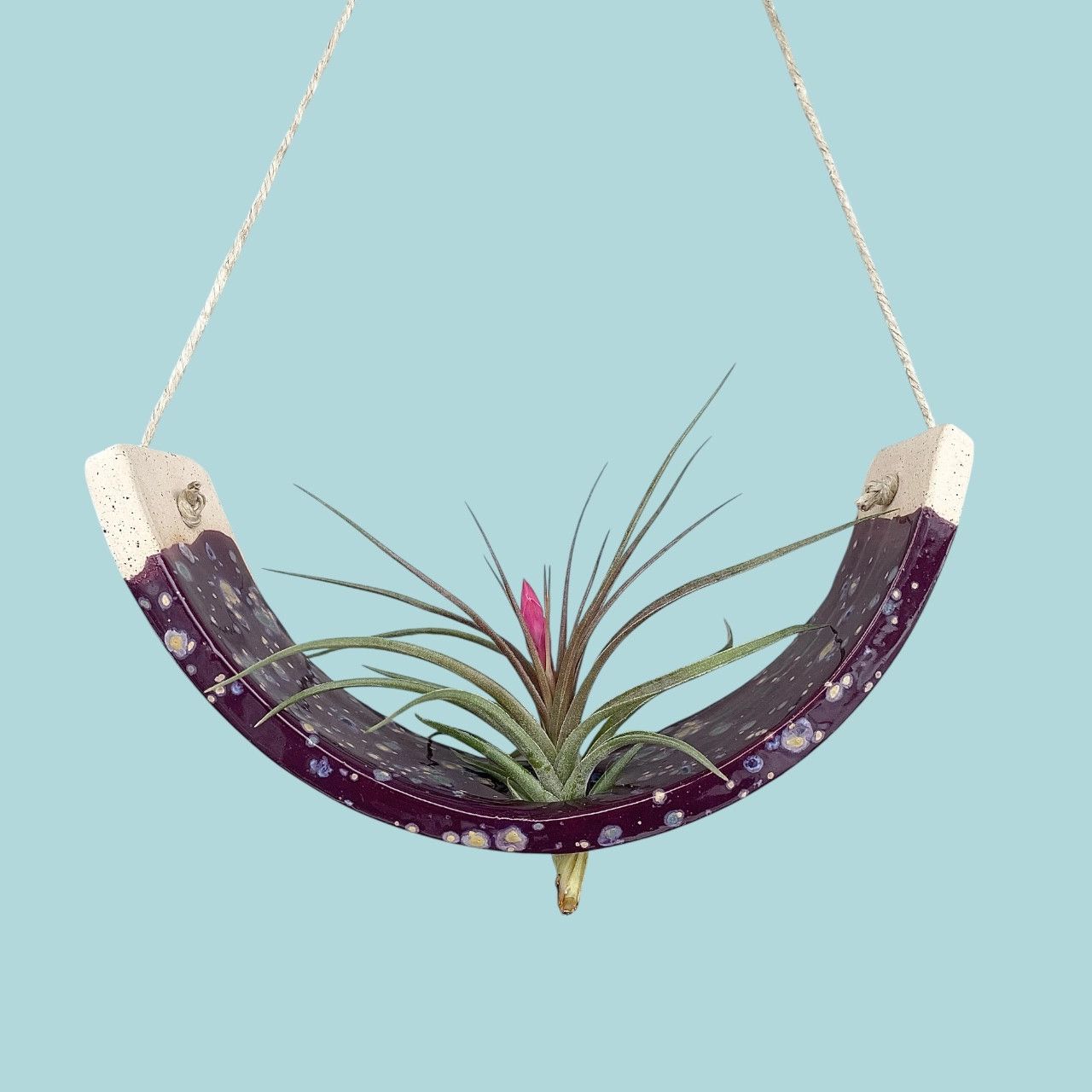 Hanging Air Plant Cradle Purple Passion Flower Large