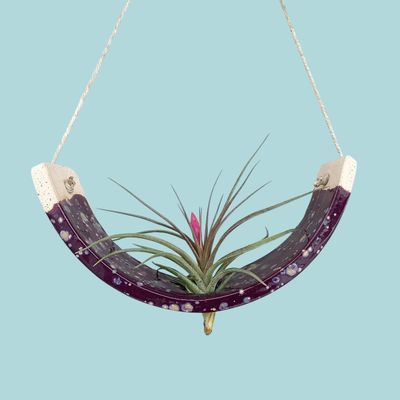 Hanging Air Plant Cradle Purple Passion Flower Large