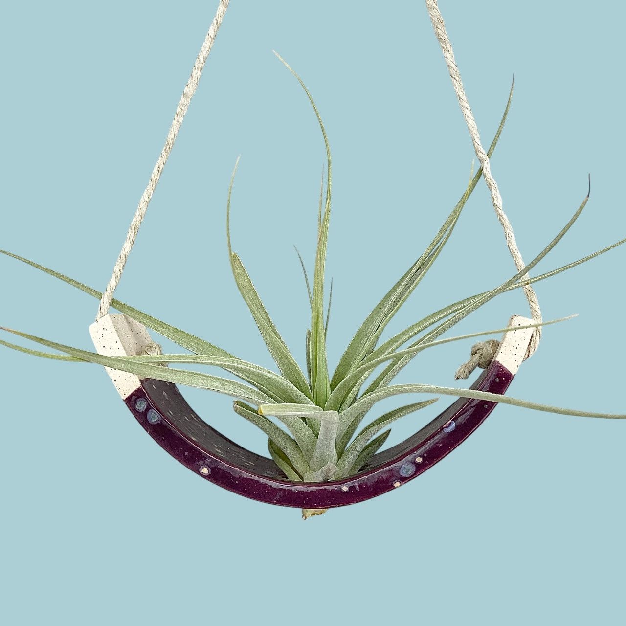 Hanging Air Plant Cradle Purple Passion Flower Small