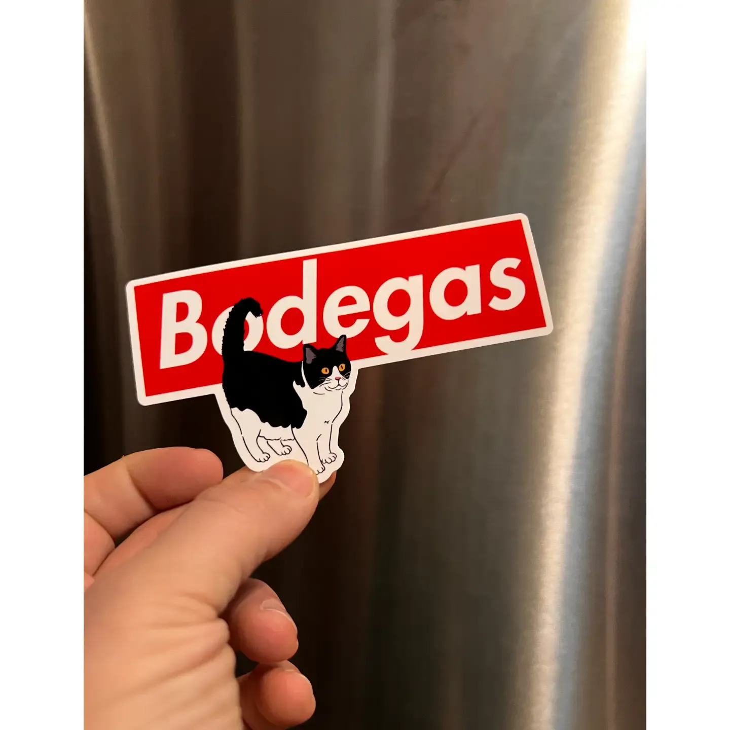 Box Logo Cat Sticker - 4.5 in
