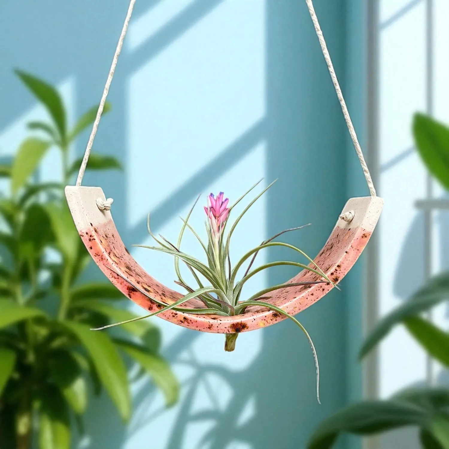 Hanging Air Plant Cradle Pink Amaryllis  Large