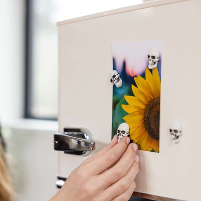 Skull Magnets