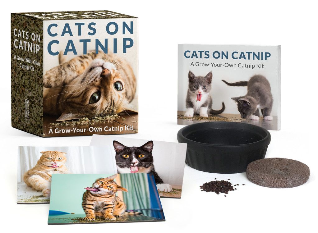 Cats On Catnip