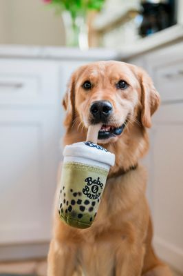 Play Matcha Boba