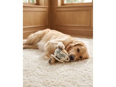 Ruff's Coffee Cup + Saucer