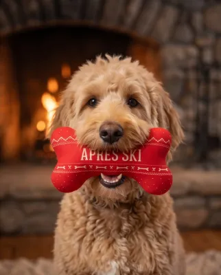 Apres Ski Fairisle Bone