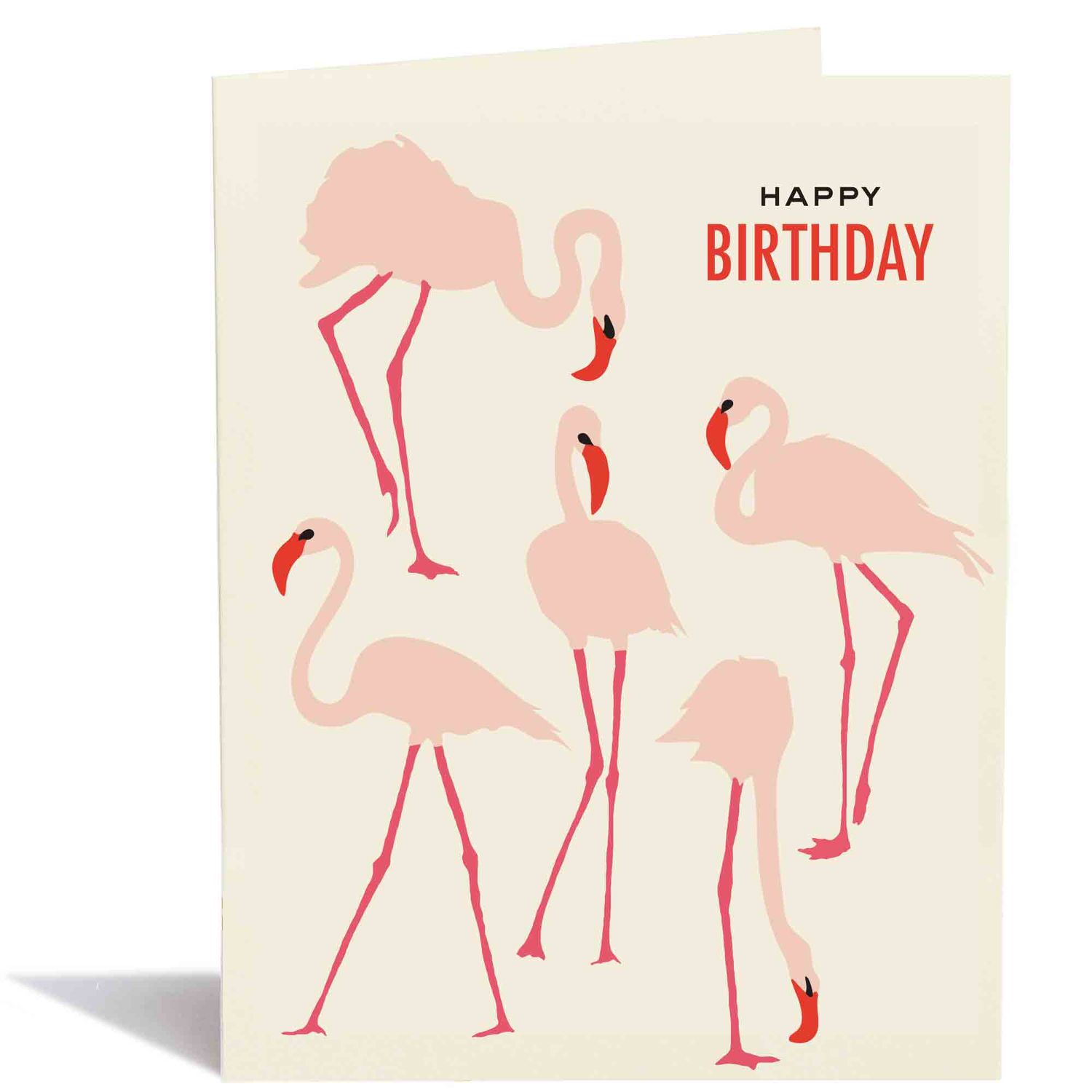Flamboyance of Flamingoes Birthday Card