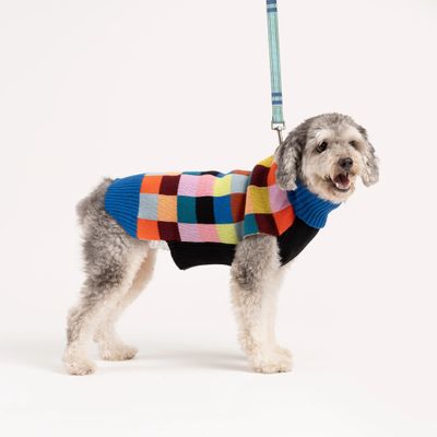 Color Patch Dog Sweater Sport