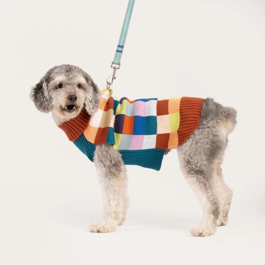 Color Patch Dog Sweater Desert